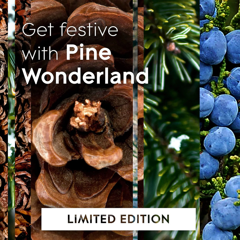 Pine Refill, Automatic Glade Home Wonderland, Bathroom, Count for Freshener 6.2 and Oz, Air 3 Spray