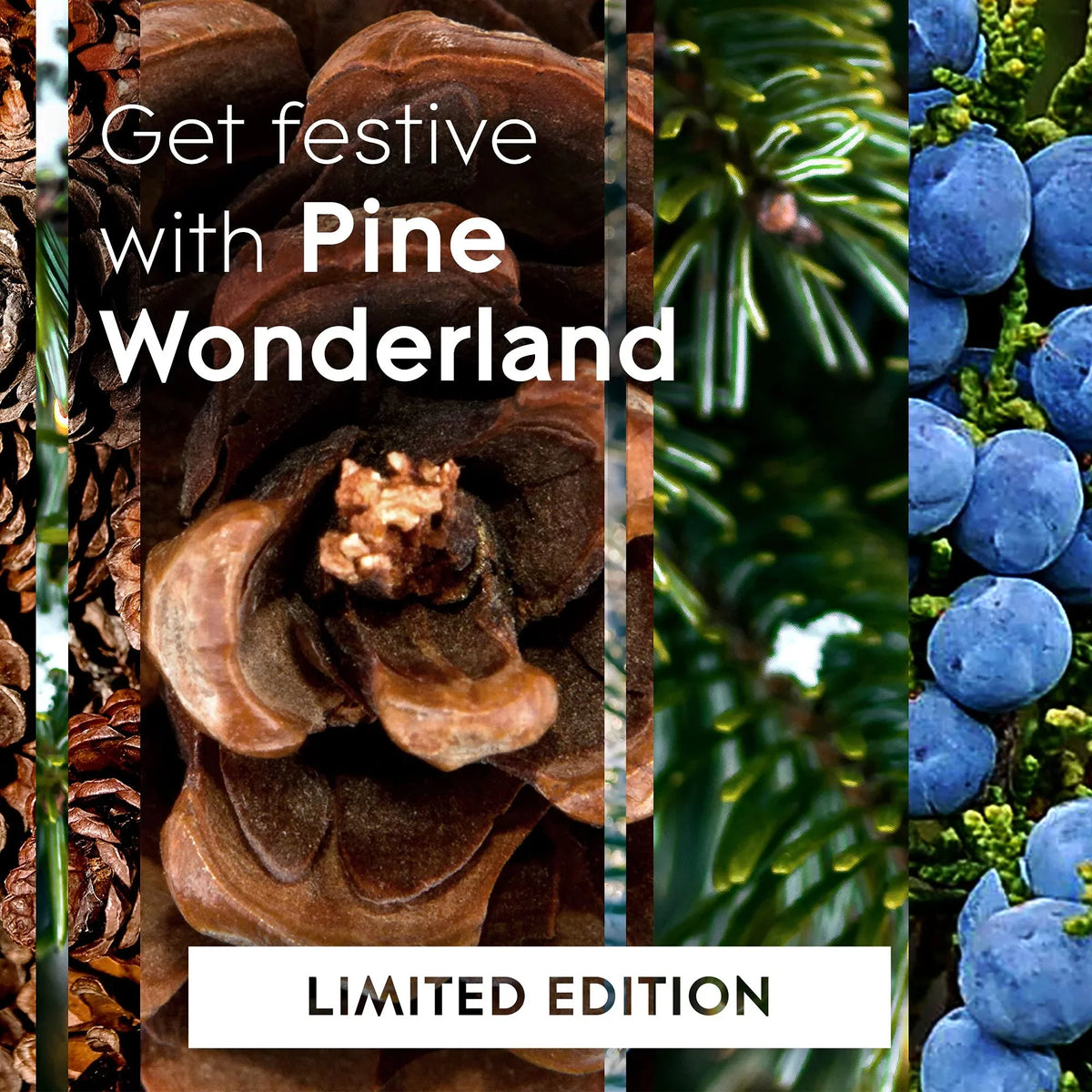 Pine Refill, Automatic Glade Home Wonderland, Bathroom, Count for Freshener 6.2 and Oz, Air 3 Spray