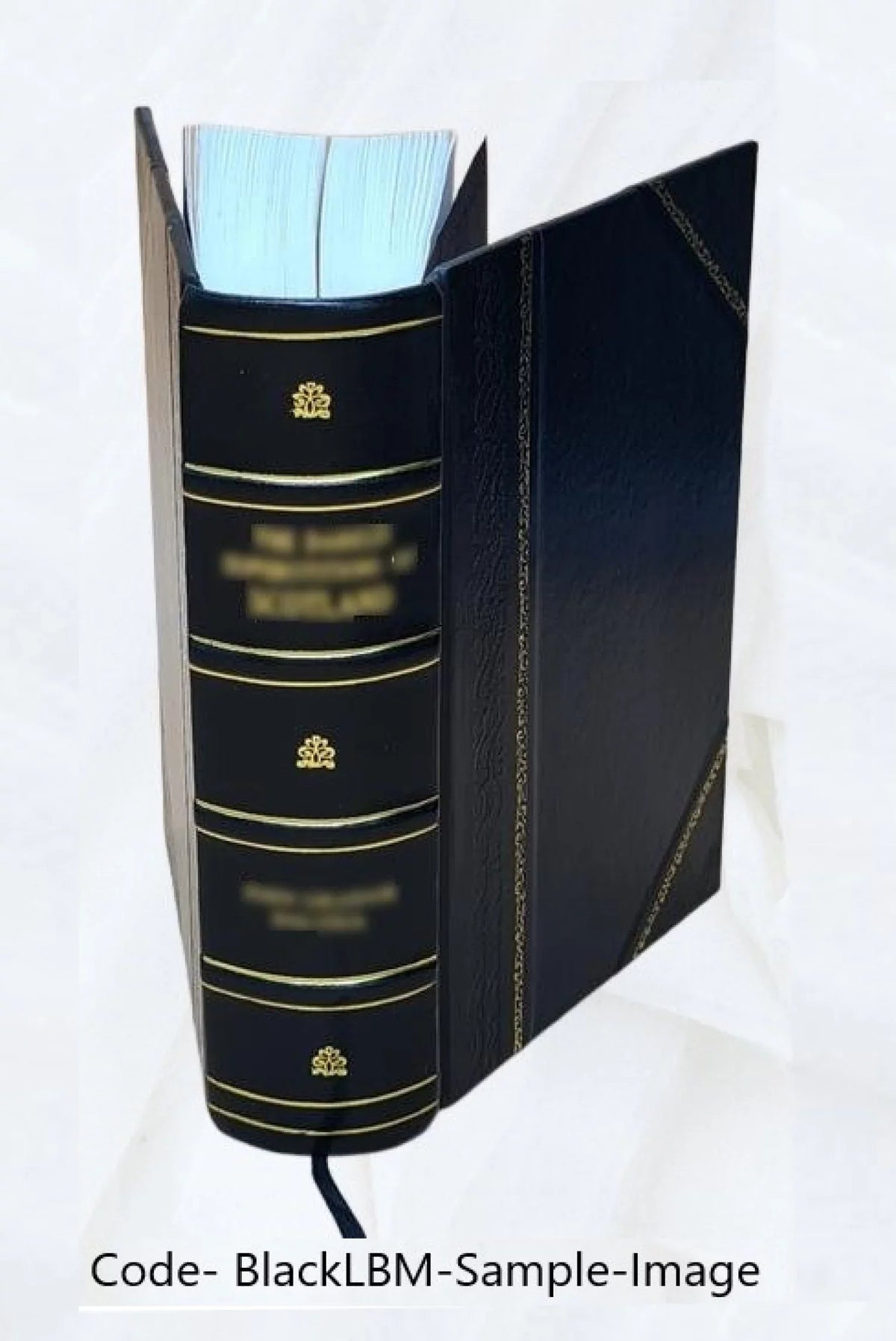 Auctore biblicus, Bound] intelligendam. Sacram 1723 Bernardo Scripturam, Apparatus .. sive tum [Leather faciliùs Manuductio ad Lamy, tum r.p. clariùs,
