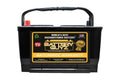 Performance Truck Size Standard (850 Group Battery Gold 65 CCA)