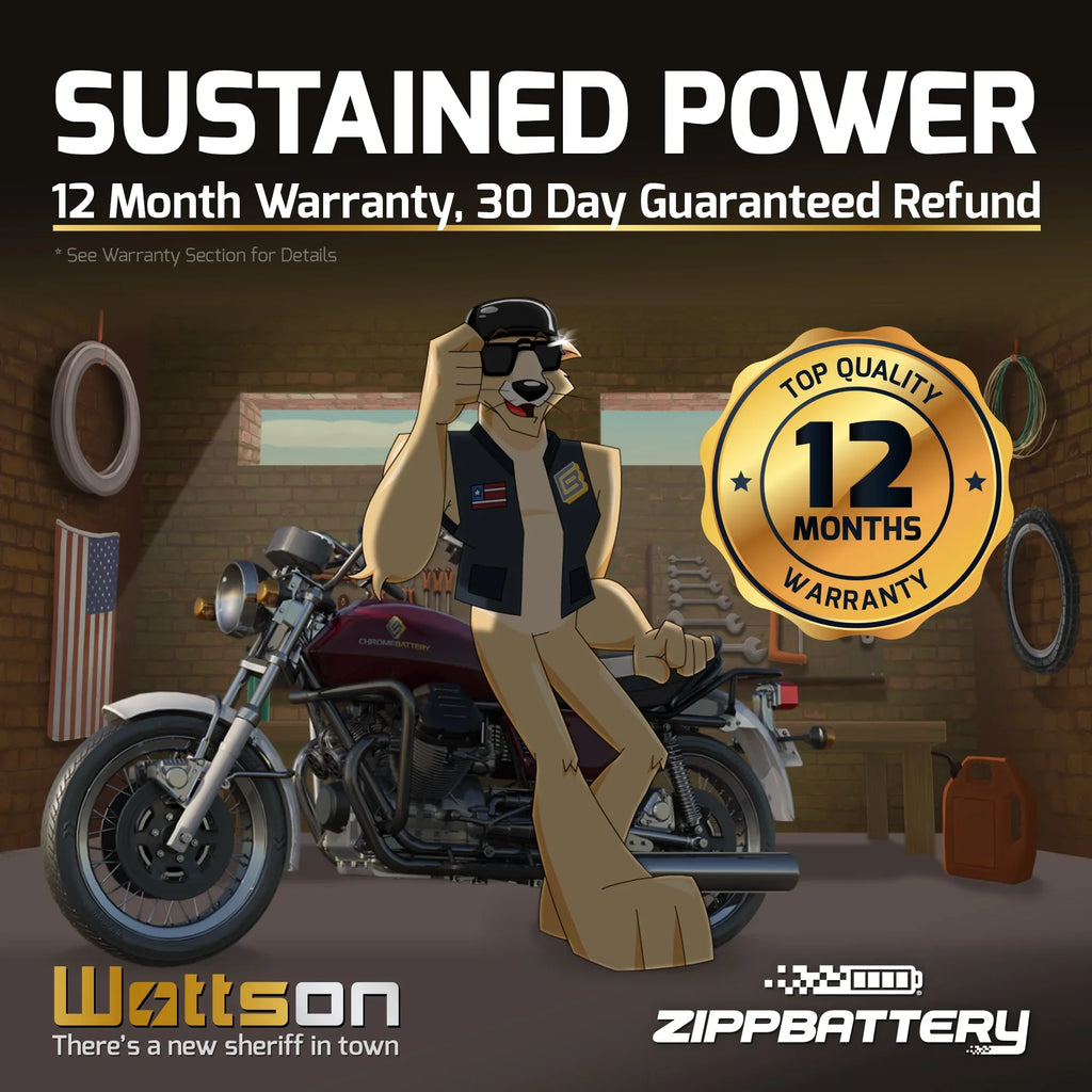 Kawasaki Ah, 12 (24HL-BS Zg1200 for Motorcycle 1995 Voyager Volt,21 Battery Xii 260 CCA) Zipp YTX24HL-BS 1200cc Battery