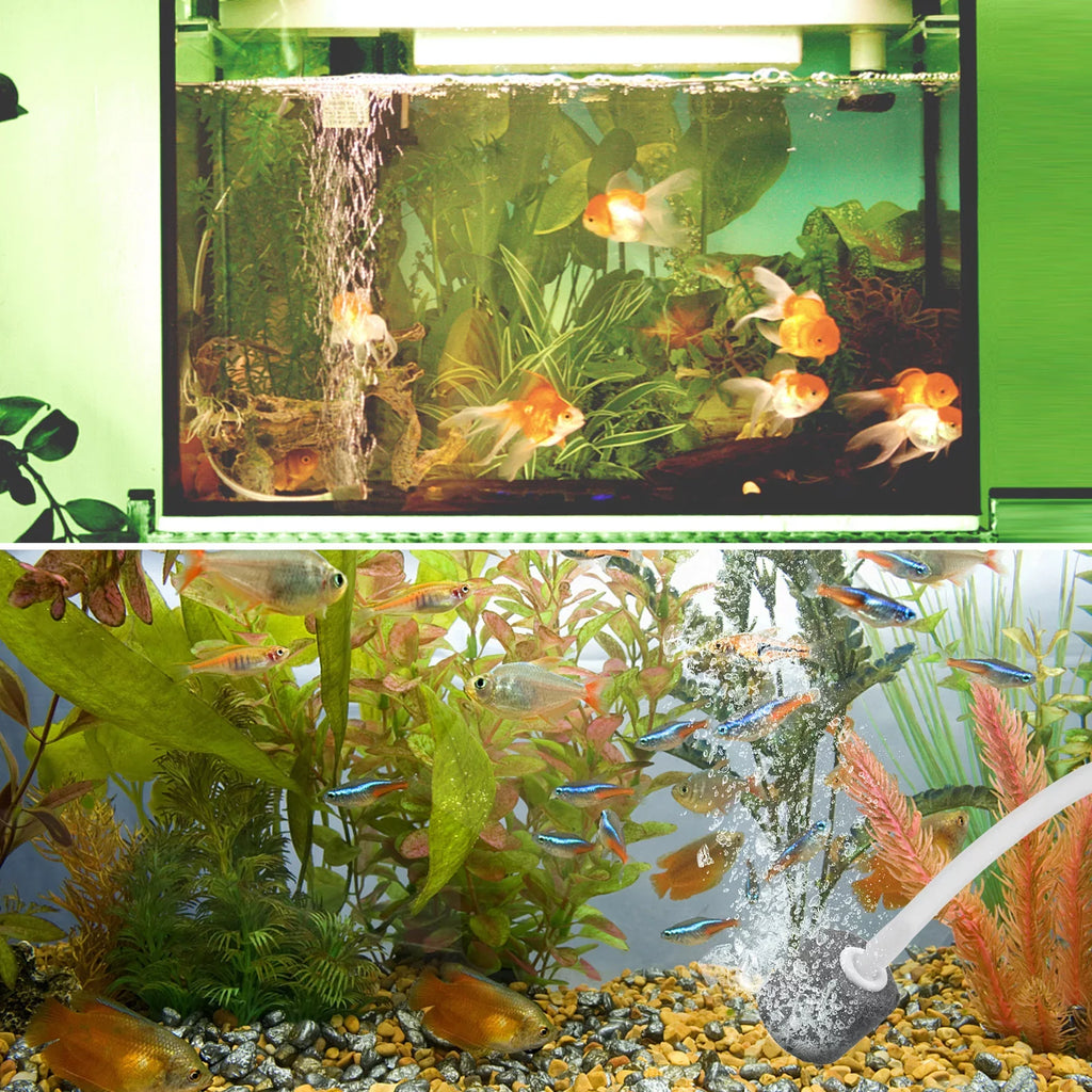 Aerator Air Tranportation Fish Aquarium for L Rechargeable Solar Oxygenator Fish Stone Bubble Pump Pools 5.5V Fishing Small with 1.5W Circulation Pond Pump & Garden Air Ponds