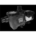 VSP 230V Defender Waterway 1.65HP Plastics Power Pump