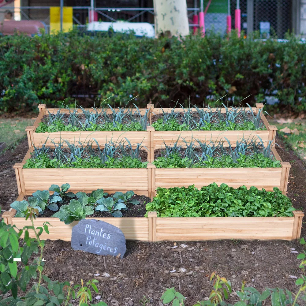 Garden Patio Greenhouse Bed Wooden Raised Design for Planter Yard Alden Box
