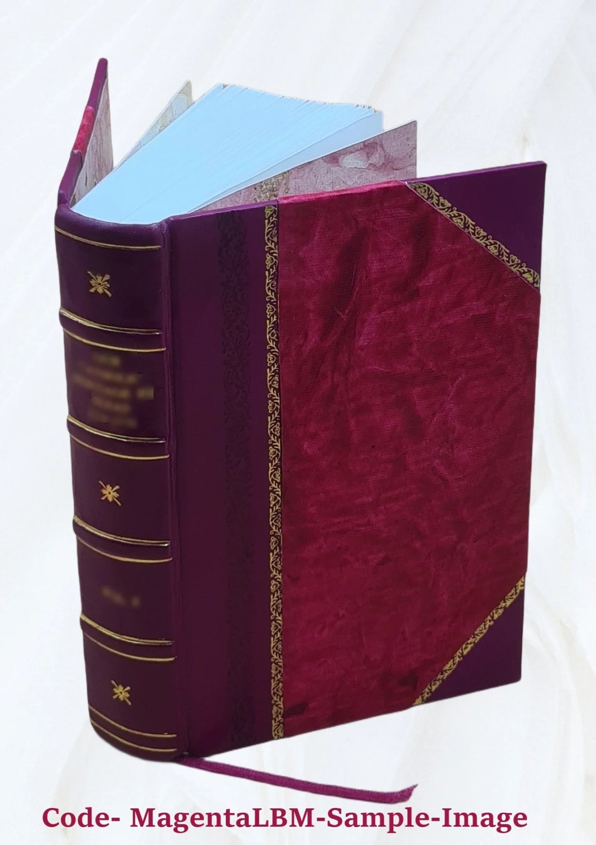 Scholia De Ciceronis De 3. Bound] oratorum. De Pauli 1569 genere claris libri optimo [Leather Manutij. oratore oratoribus.