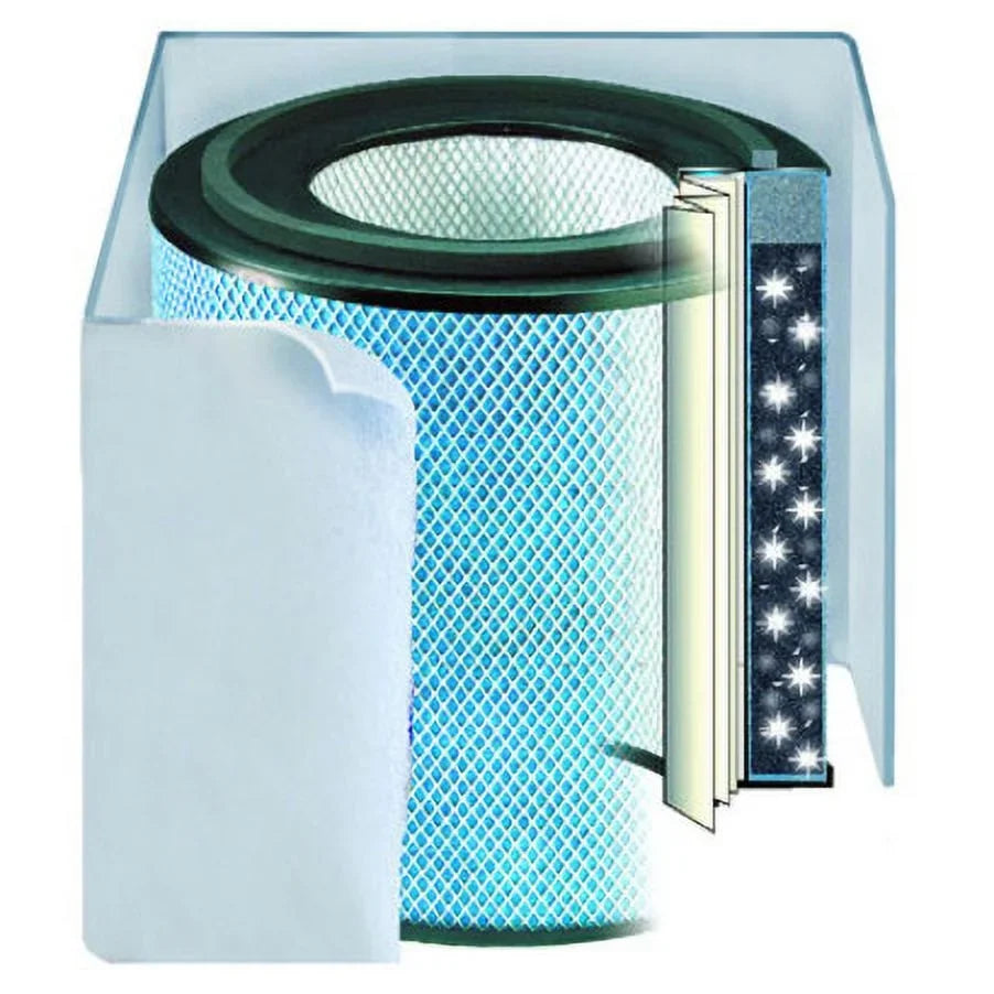 (Allergy Austin Allergy/HEGA in FR405A Air Black Standard Filter Filter) Machine