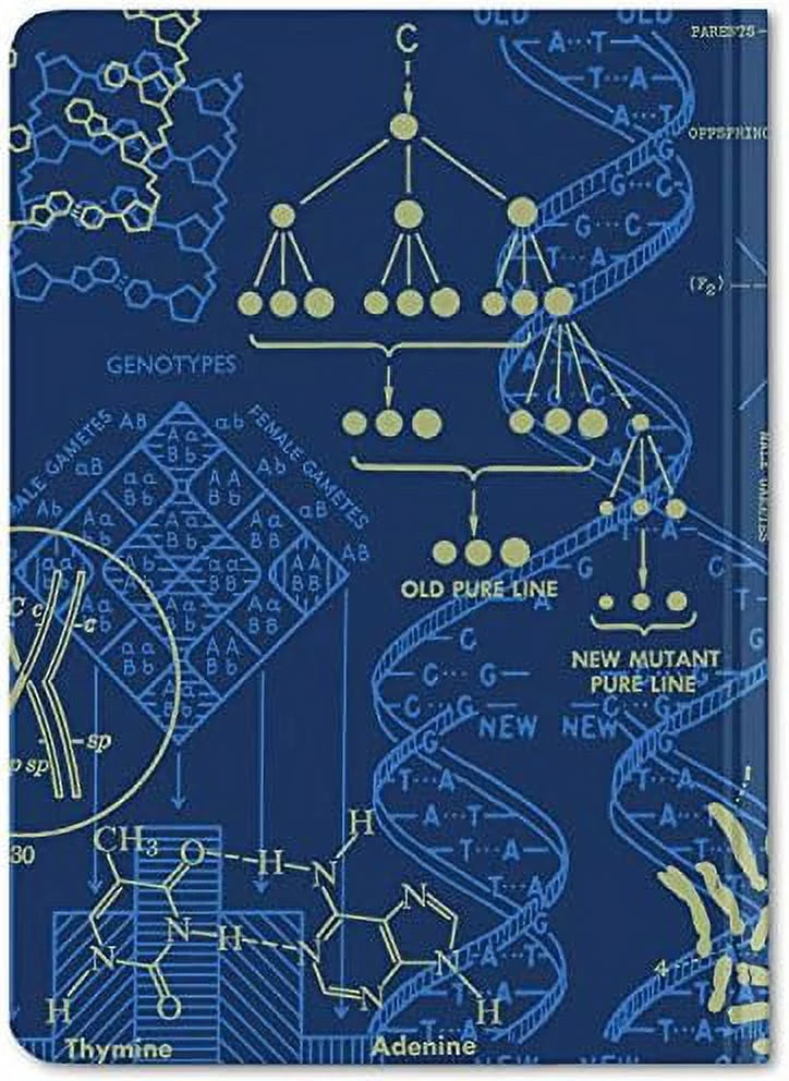 Pages, Genetics DNA Hardcover, Grid (Mini Dot 100% Recycled) & Notebook.
