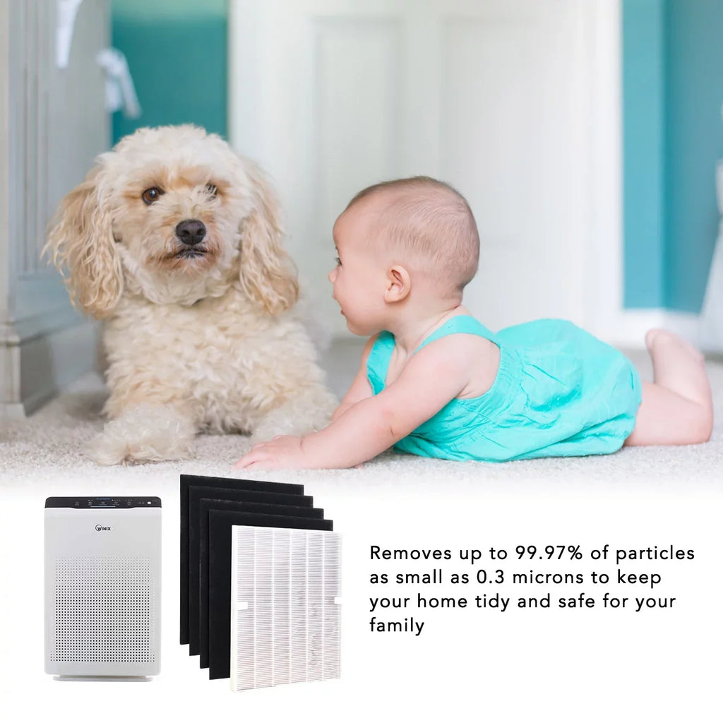 Set) and (2 115115 Winix A C535, for HEPA for Filter 5500 5300 5300-2, 6300-2,P300, Replacement Filter