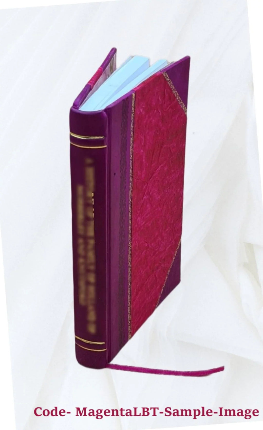 islandice 1879 et latine Clari Bound] fabella: [Leather