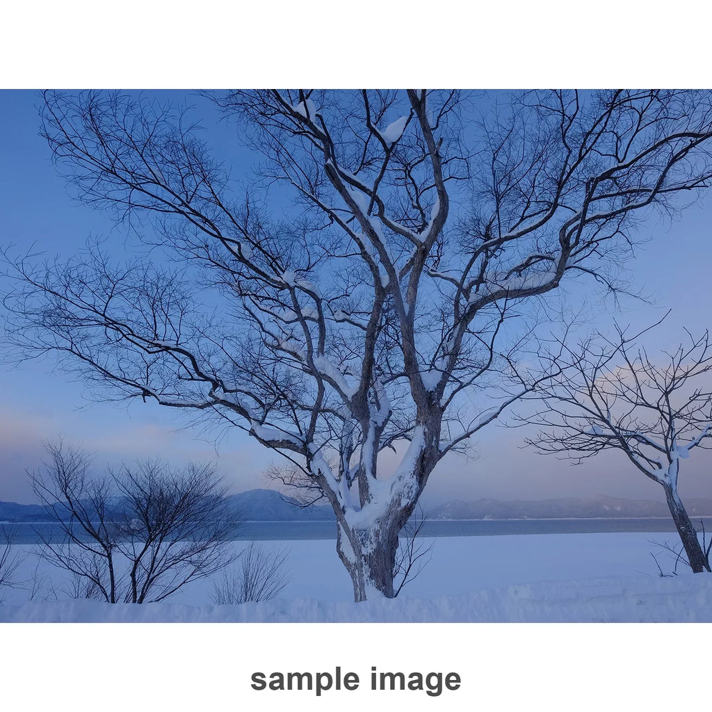 f/4 R FUJIFILM Lens 16412188 XF OIS 10-24mm