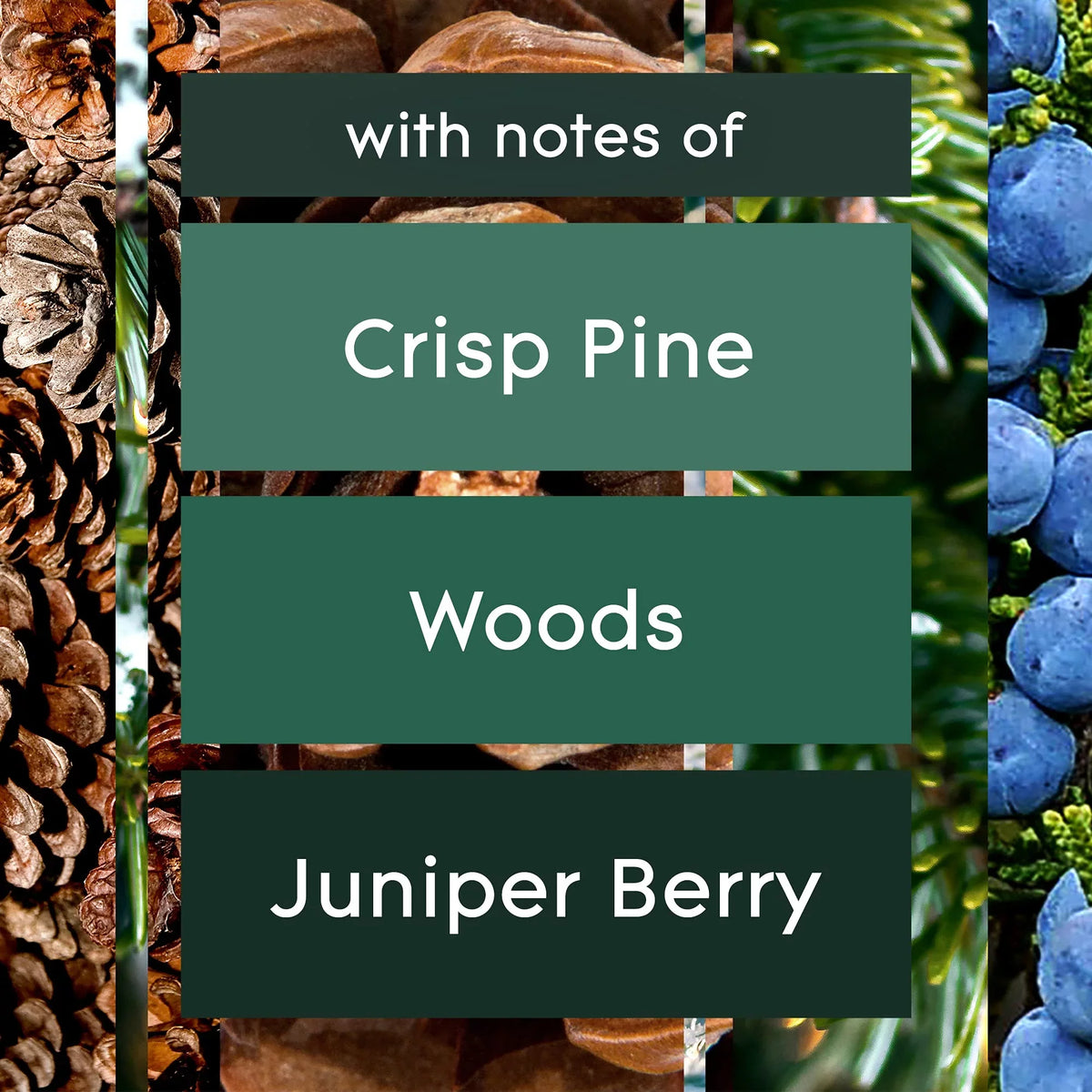 Pine Refill, Automatic Glade Home Wonderland, Bathroom, Count for Freshener 6.2 and Oz, Air 3 Spray