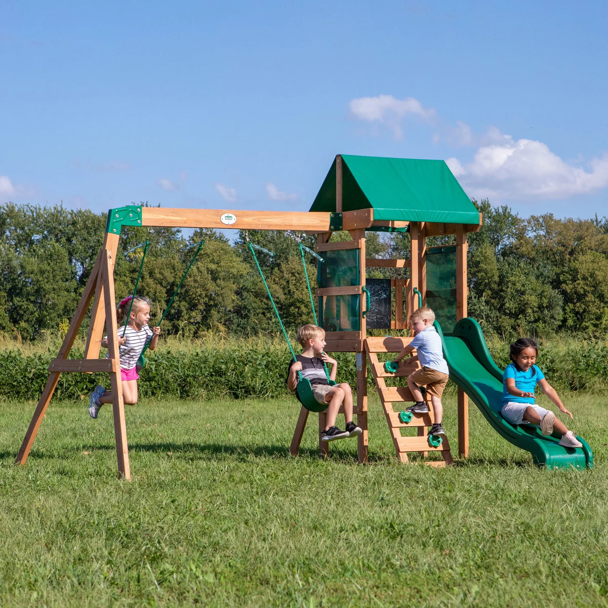 Discovery Buckley Swing Set Hill Backyard