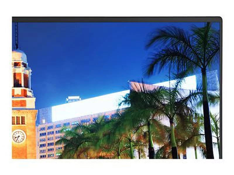 display - NEC LED X555UNS 55"