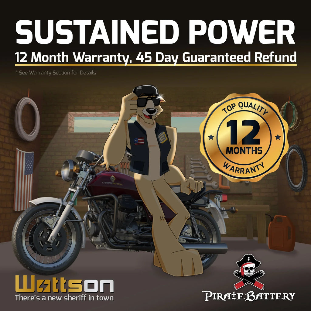 Battery 12 for 230 Volts,14 (16l-bs Ski Battery Ytx16l-bs Ah, Cca) Yamaha Pirate Runner Wave 1993 Jet