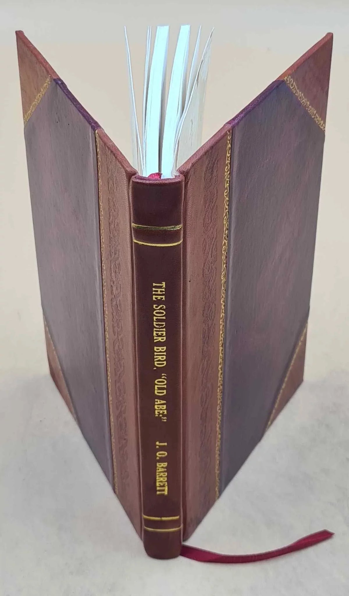 [Leather war Wisconsin, "Old the soldier 1876 years' great three Bound] served that J. By in Barrett. O. bird. The the rebellion. live campaign of Abe": a eagle