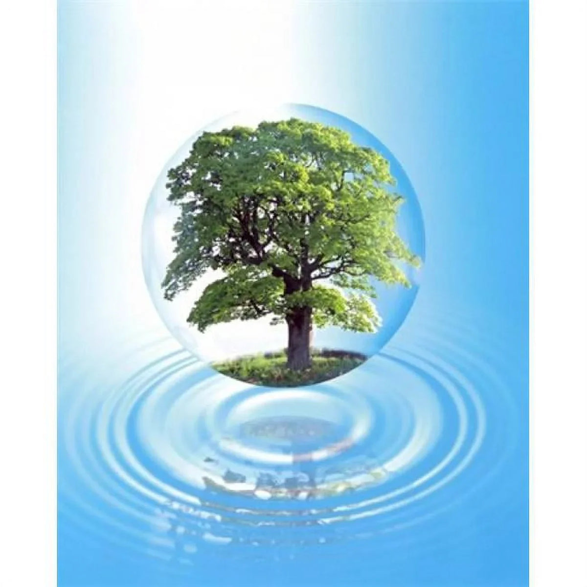 sphere 24 - clear A Print with a water by over 20 tree large ring a floats with reflection Poster full x