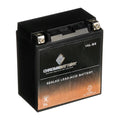 YTX16L-BS Ski St (16L-BS Volt,14 Ss Ah, CCA) 750cc for 230 Battery 1995 Jet Chrome Jh750 Kawasaki Xir 12 Battery Xi