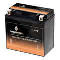 (spirit, Aero, Chrome YTX14-BS A. CCA) 12 C. E. Ah, 1100cc Motorcycle Battery 2003 C3, T (14-BS Vt1100c, 200 Battery Volt,12 for Tourer) Shadow Honda