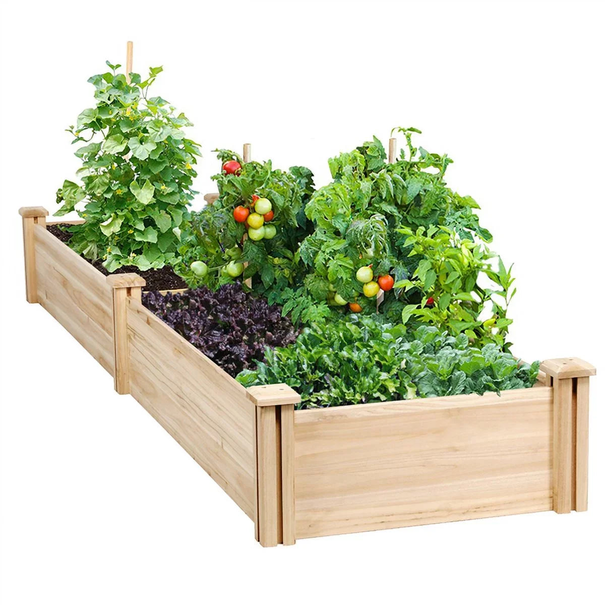 Garden Patio Greenhouse Bed Wooden Raised Design for Planter Yard Alden Box