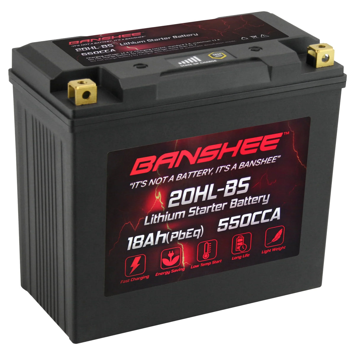 Victory 2002 Cruiser Battery 2002 Touring Motorsports Banshee Deluxe YTX20L-BS Compatible to LiFePO4 with V92TC