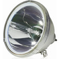 LG Lamp Housing 90 Warranty RE-44SZ21RD Days with with Original Replacement