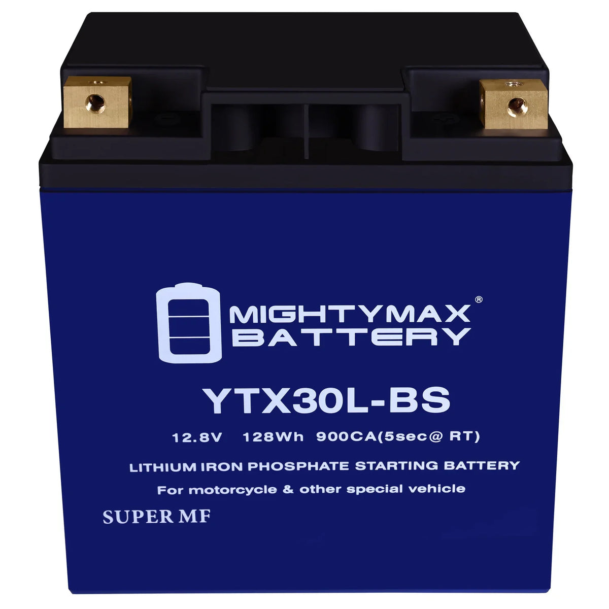 Lithium Bombardier GTX Doo Polaris YTX30L-BS Replacement compatible with Sea Battery