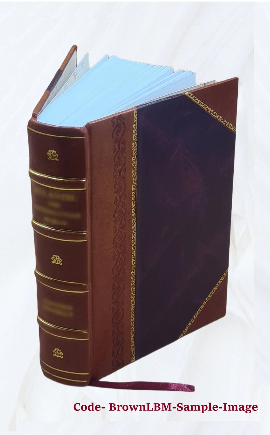 Auctore biblicus, Bound] intelligendam. Sacram 1723 Bernardo Scripturam, Apparatus .. sive tum [Leather faciliùs Manuductio ad Lamy, tum r.p. clariùs,