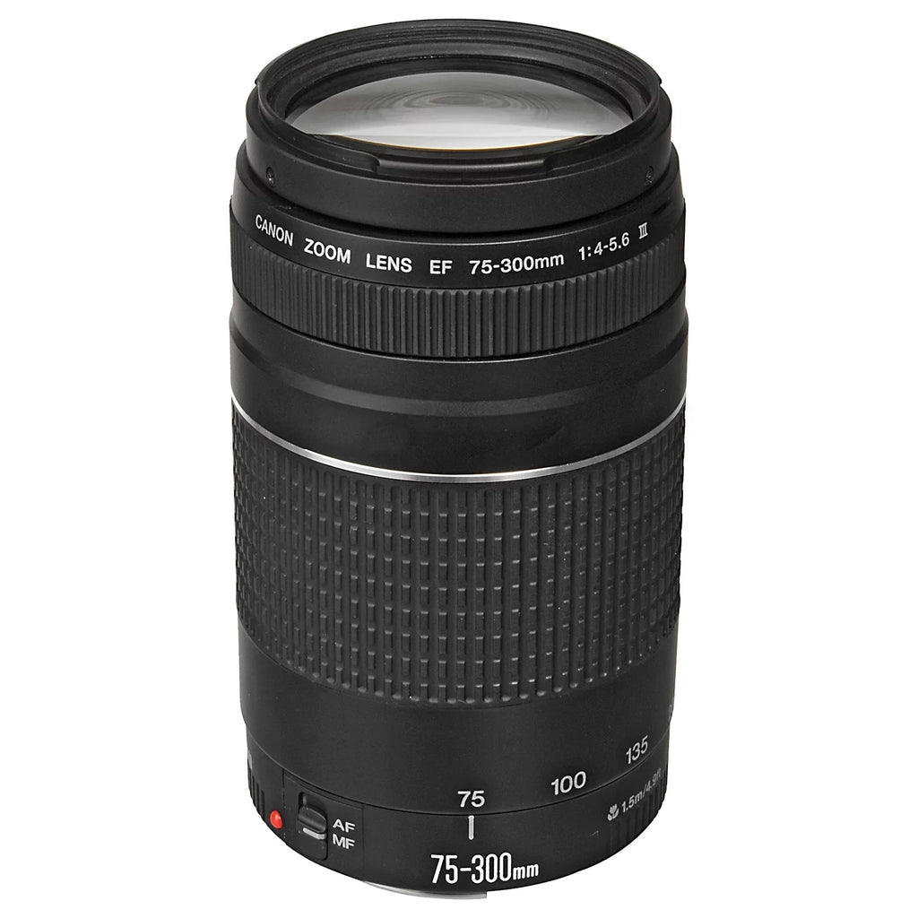 Adapter R6 LED 24-105mm + + Flash + + + Camera SanDisk Mount Mark Canon 128GB Bundle Memory Lens EF II Accessory with RF Case 75-300mm Mirrorless Card EOS ZeeTech +