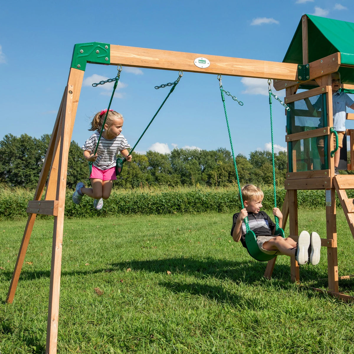 Discovery Buckley Swing Set Hill Backyard