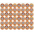 Variety Keurig Brewers Flavored Sundae 48 K-Cup Cream Ice Coffee Pack for K-Cups